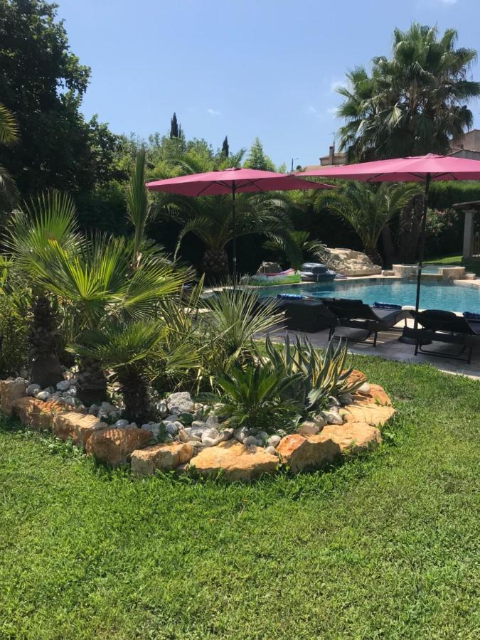 Luxueuse Piscine Et Jacuzzi Villa *